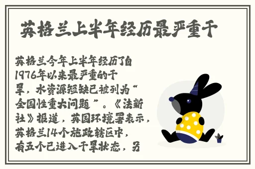 妈妈的朋友超清在线看